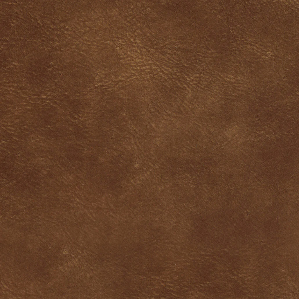 Eleanor Rigby Leather Grade 1 - Image 54