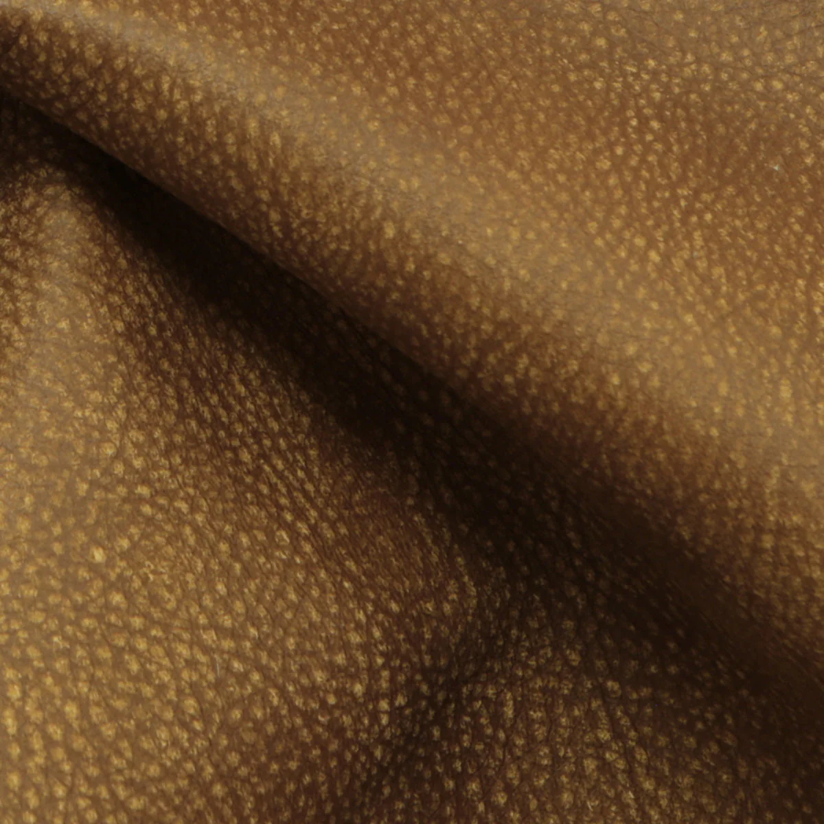Eleanor Rigby Leather Grade 2 - Image 40