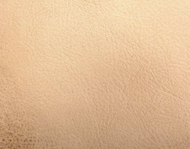 Eleanor Rigby Leather Grade 3