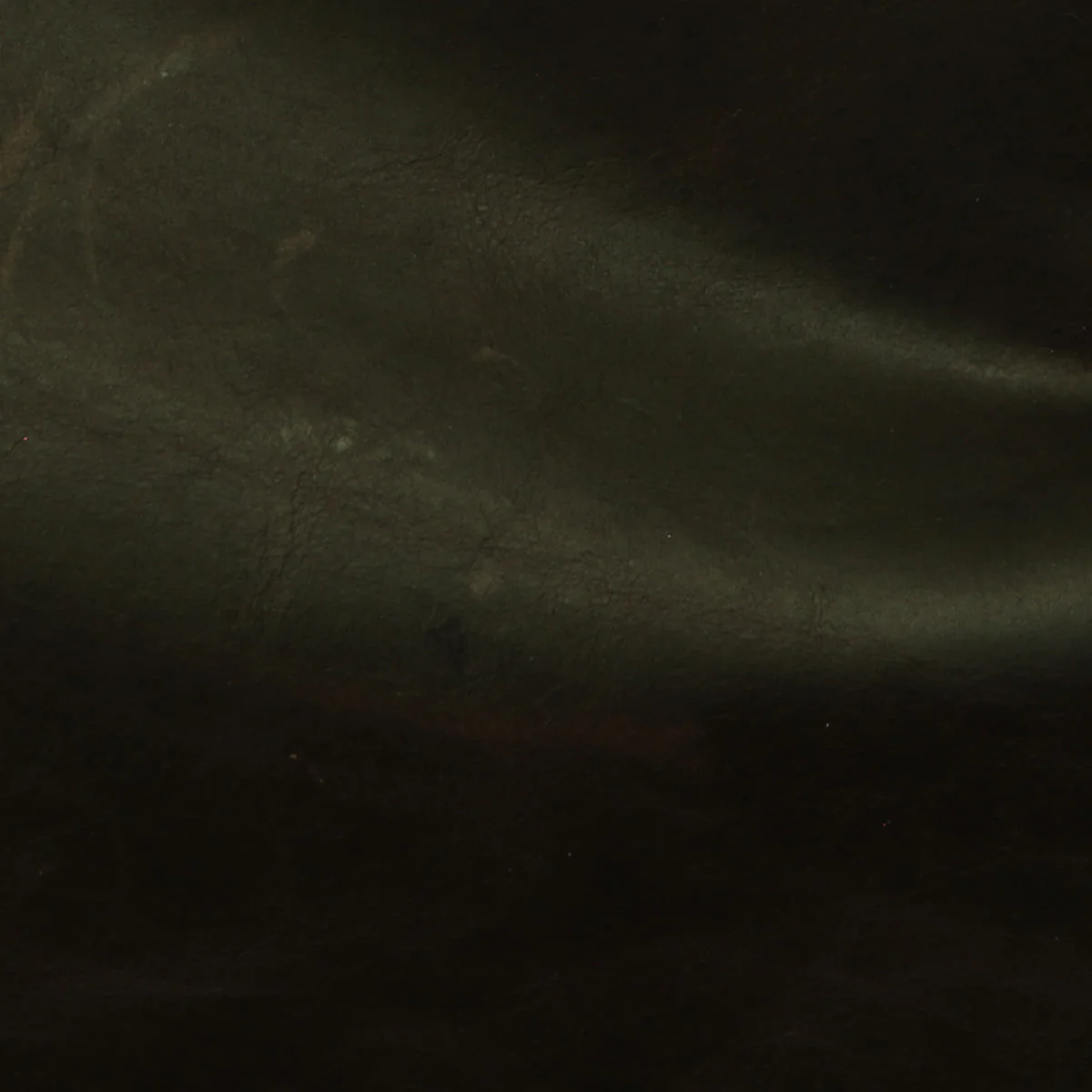 Eleanor Rigby Leather Grade 3 - Image 105