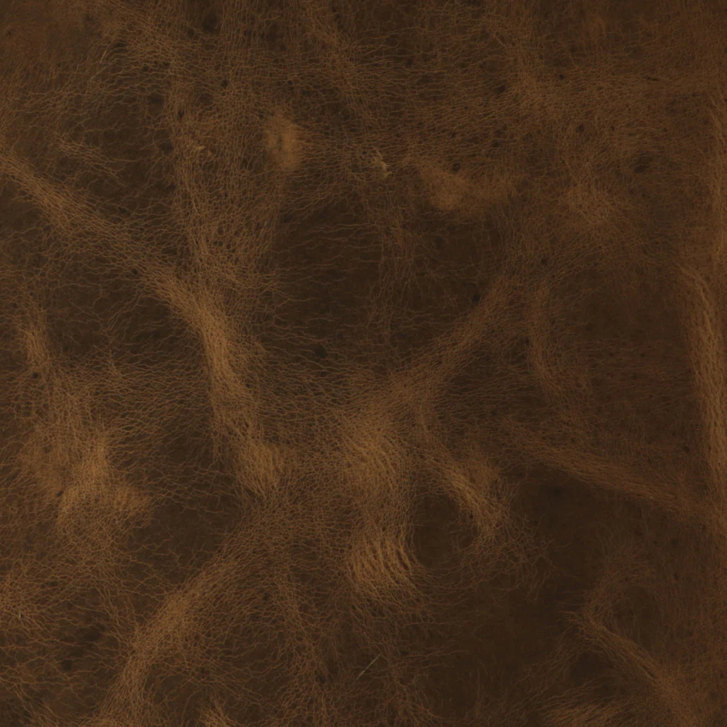 Eleanor Rigby Leather Grade 3 - Image 118