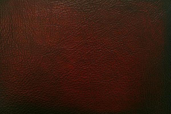 Eleanor Rigby Leather Grade 3 - Image 35