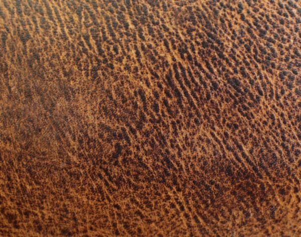 Eleanor Rigby Leather Grade 3 - Image 36