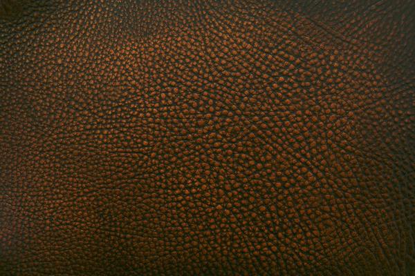 Eleanor Rigby Leather Grade 3 - Image 38
