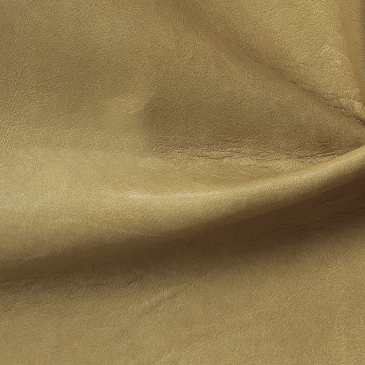 Eleanor Rigby Leather Grade 3 - Image 47