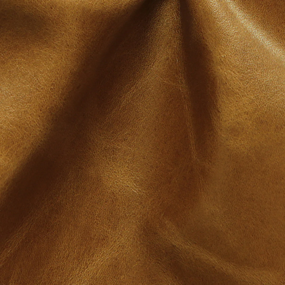 Eleanor Rigby Leather Grade 3 - Image 50