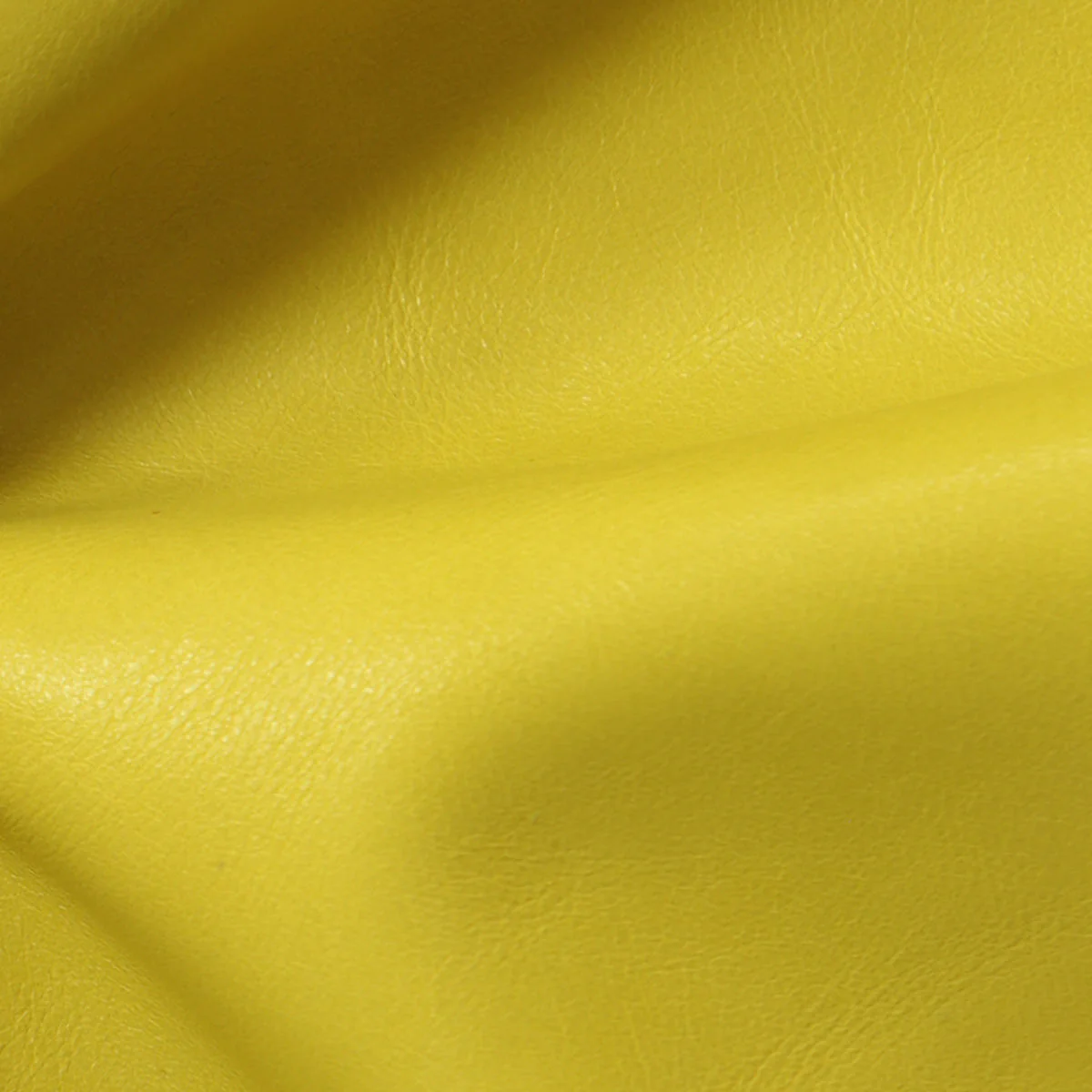 Eleanor Rigby Leather Grade 3 - Image 51