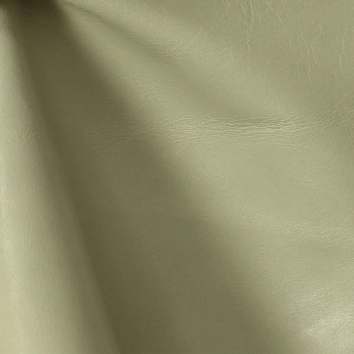 Eleanor Rigby Leather Grade 3 - Image 55