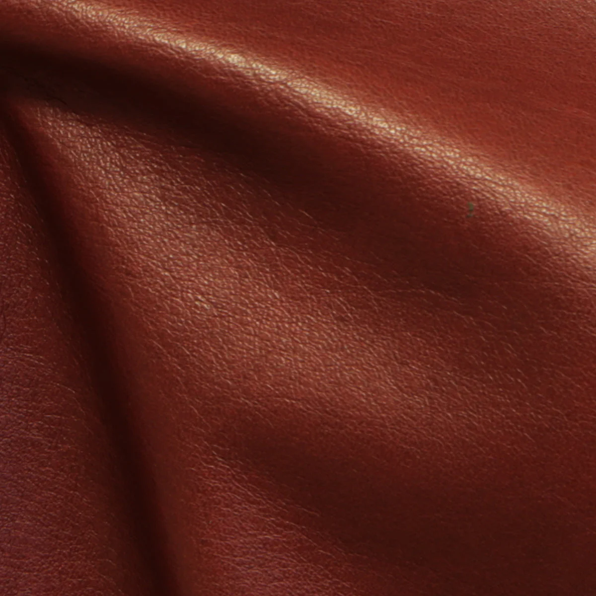 Eleanor Rigby Leather Grade 3 - Image 73