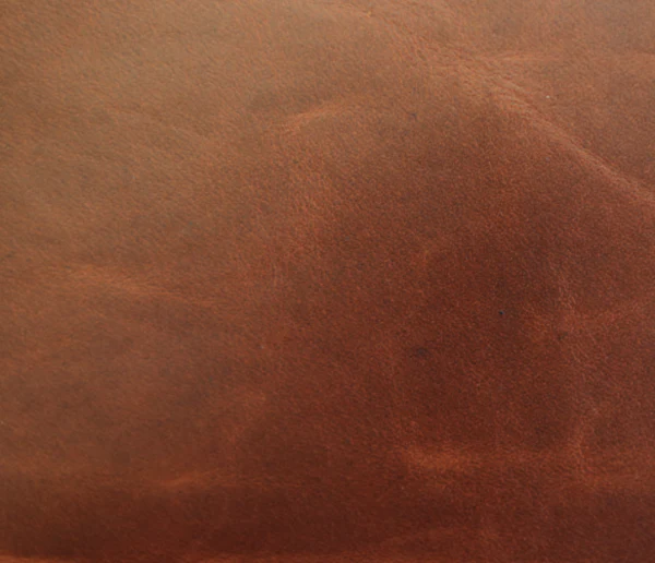 Eleanor Rigby Leather Grade 3 - Image 8