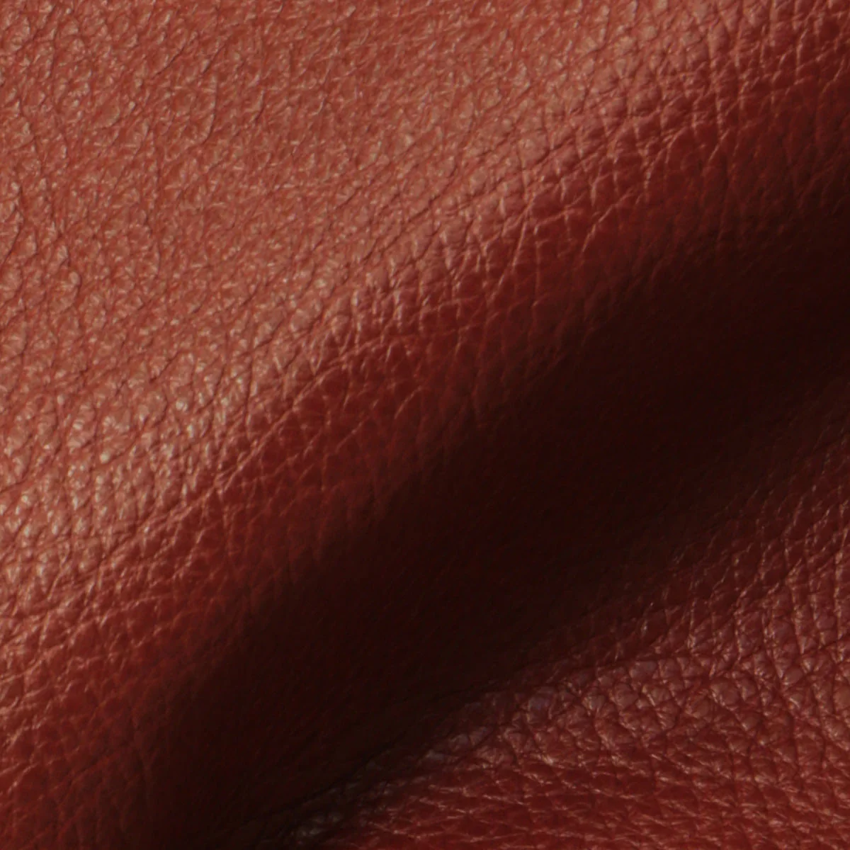 Eleanor Rigby Leather Grade 3 - Image 82