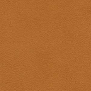 IMG Boss Trend - Image 10