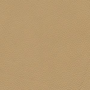 IMG Boss Trend - Image 7