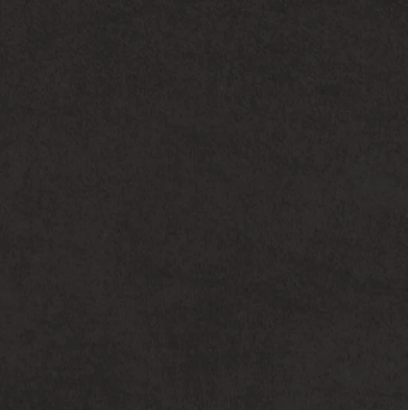 IMG Chelsea Sauvage - Image 6