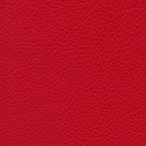 IMG Trend - Image 17