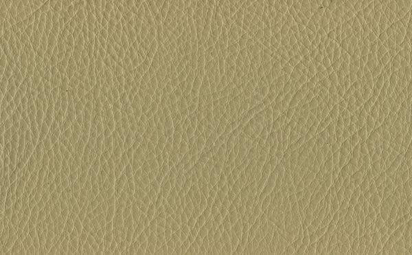 Natuzzi Destrezza Grade 15 - Image 5