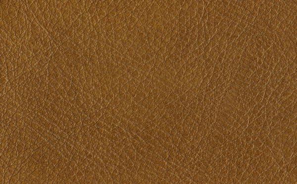Natuzzi Editions Grade 15S - Image 14