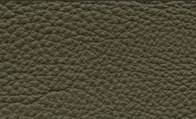 Natuzzi Leather Grade 15 - Image 3