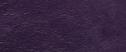Natuzzi Leather Grade 15 - Image 43