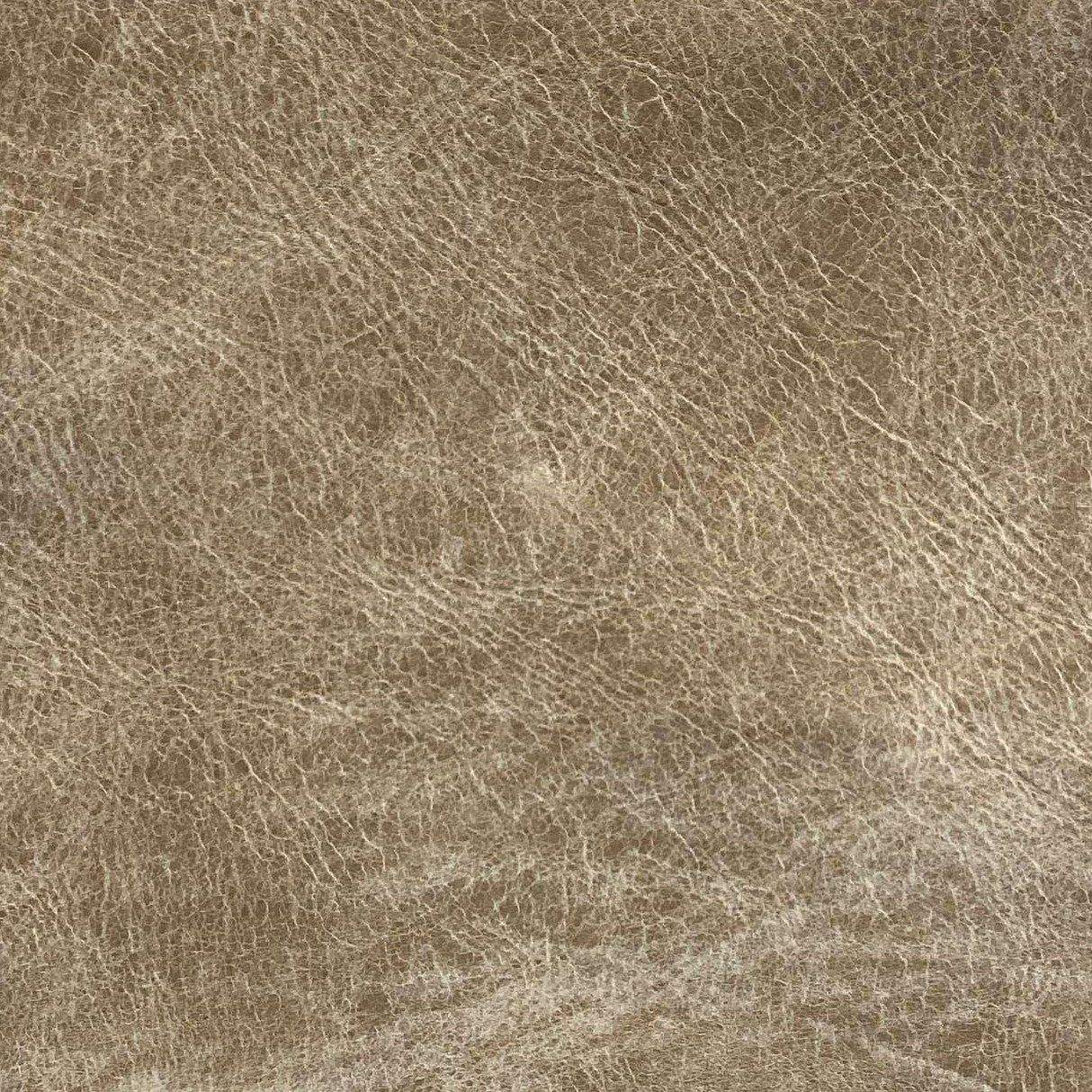 Omnia Grade 3 - Image 112