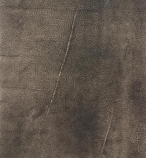 Omnia Grade 3 - Image 29