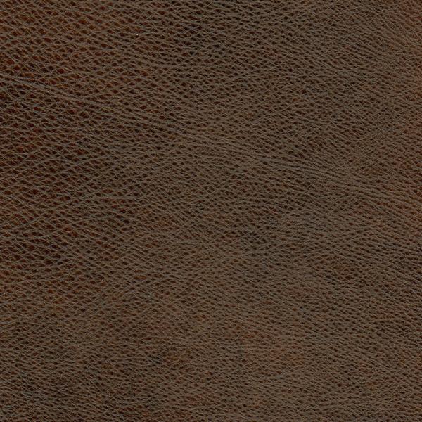 Omnia Grade 3 - Image 45
