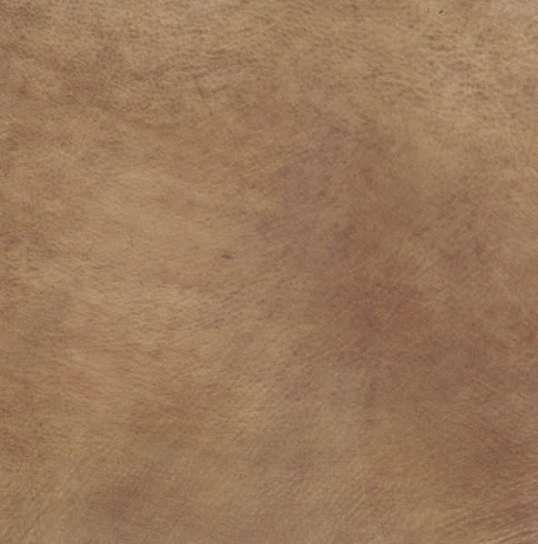 Omnia Grade 4 - Image 31