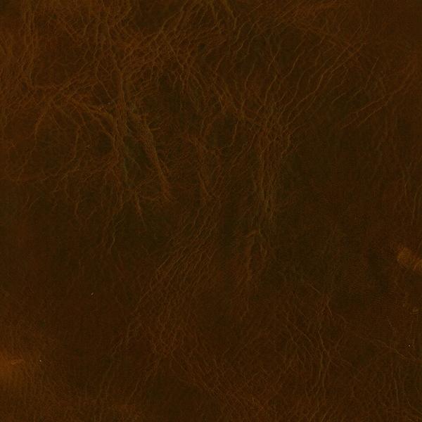 Omnia Grade 4 - Image 34