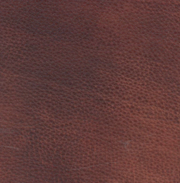Omnia Leather Grade 4 - Image 27