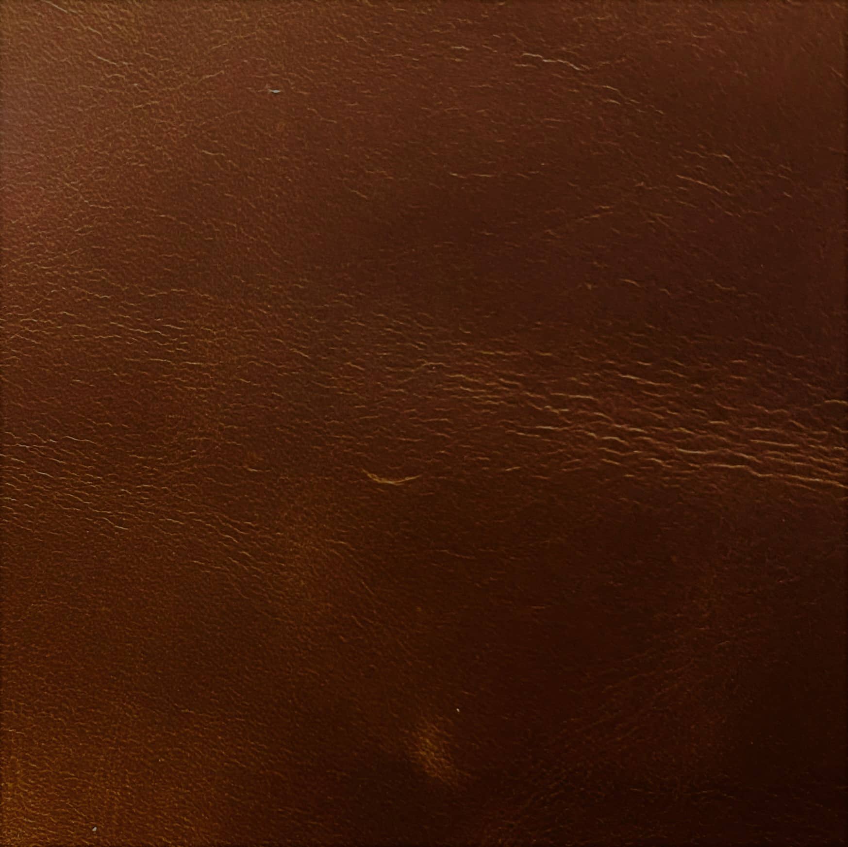 Omnia Leather Grade 4 - Image 52