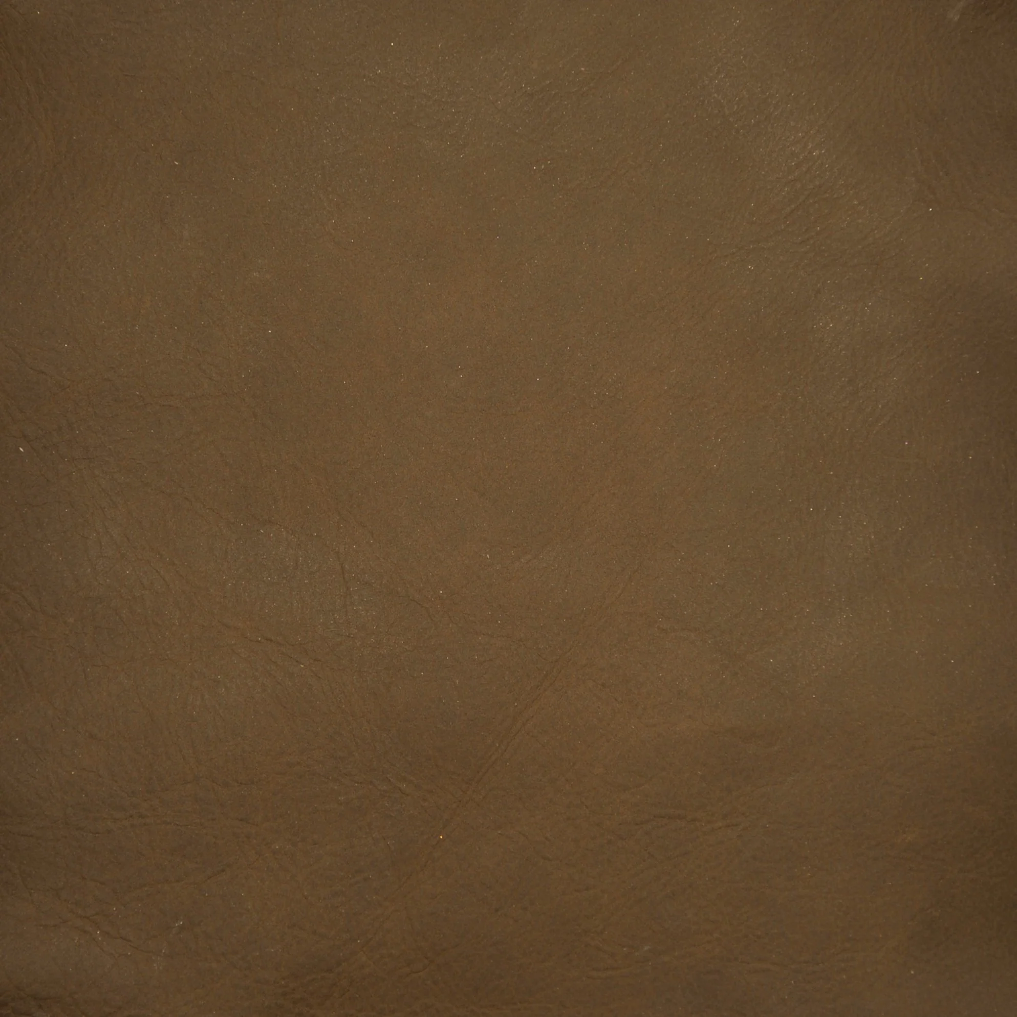 Omnia Leather Grade 4 - Image 54