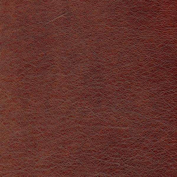 Omnia Grade 2 - Image 61