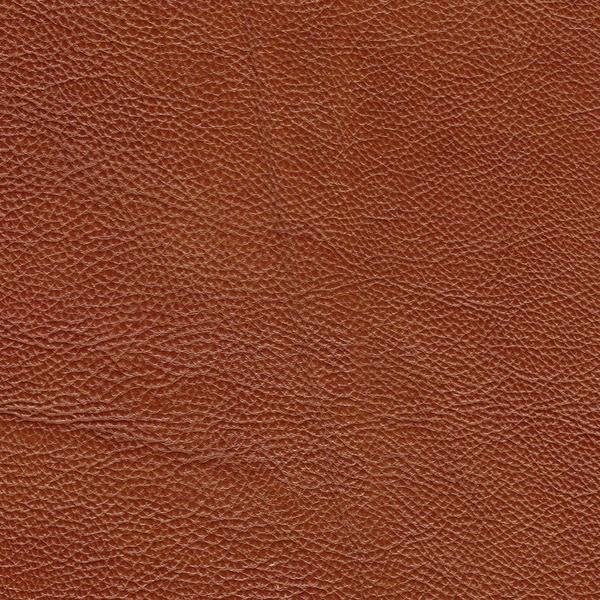 Omnia Grade 2 - Image 66