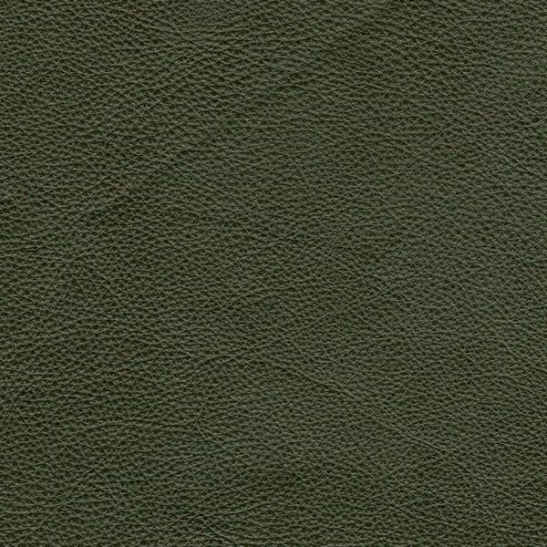 Omnia Grade 2 - Image 70