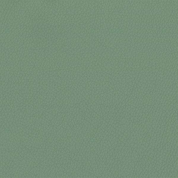 Omnia Leather Grade 2 - Image 22