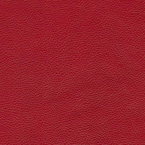 Omnia Leather Grade 2 - Image 76