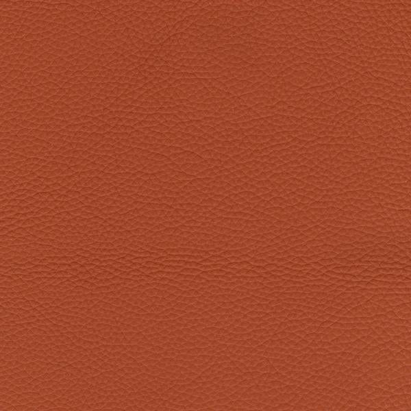 Omnia Leather Grade 2 - Image 98