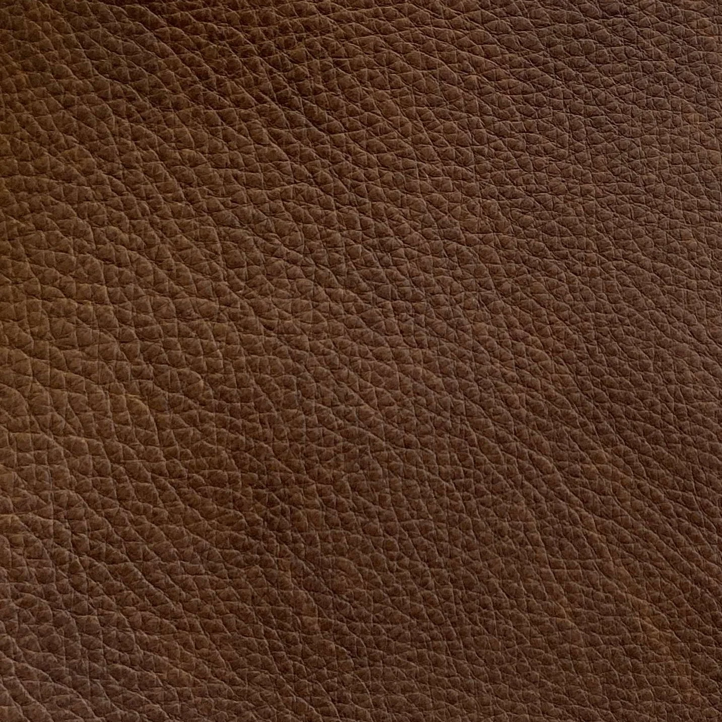 Omnia Leather Grade 3 - Image 103