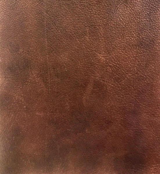 Omnia Leather Grade 3 - Image 27