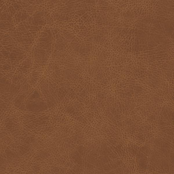 Omnia Leather Grade 3 - Image 65