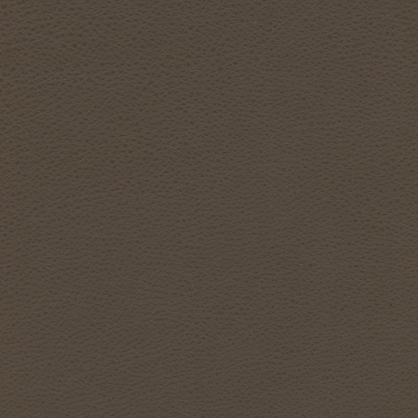 Omnia Leather Grade 3 - Image 71
