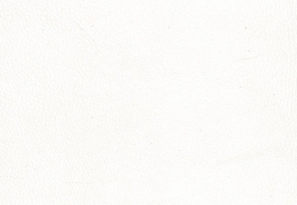 Palliser 1,000 (Leather Match) - Image 26