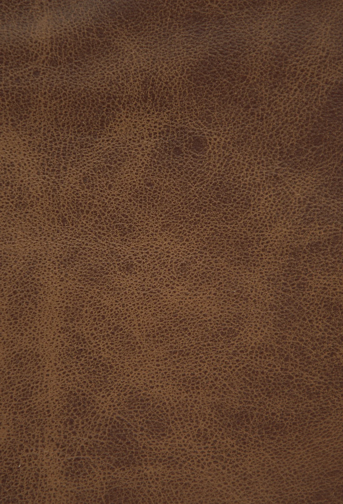 Palliser 2,000-3,000 (Leather Match) - Image 44