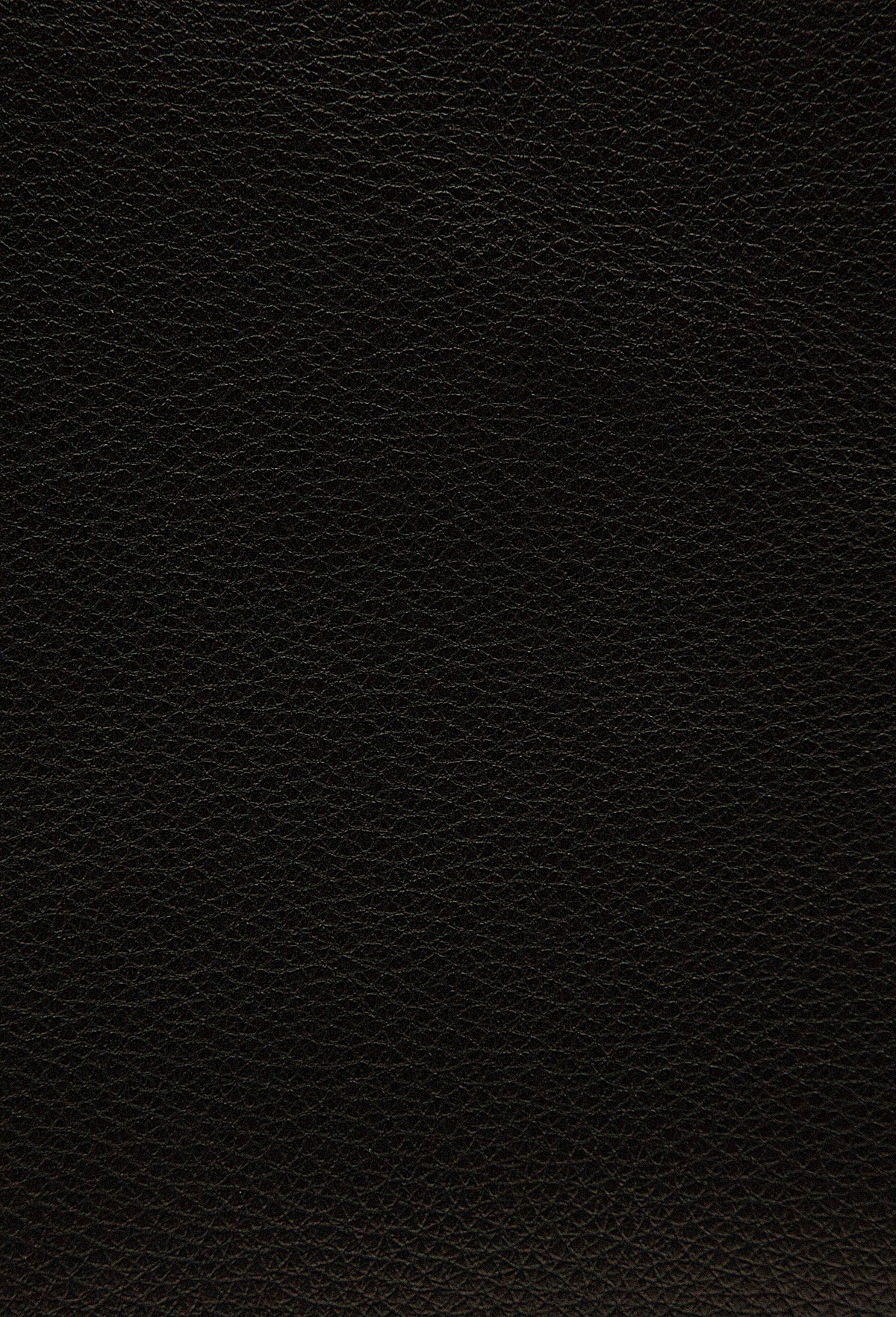 Palliser 2,000-3,000 (Leather Match) - Image 55