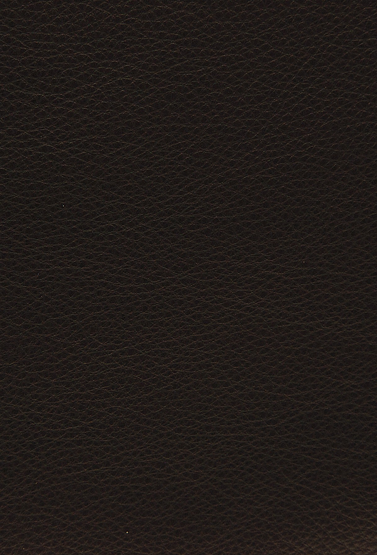Palliser 2,000-3,000 (Leather Match) - Image 58