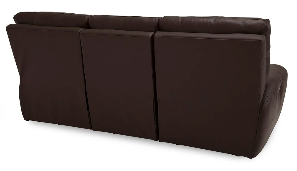 Palliser Aedon - Image 14